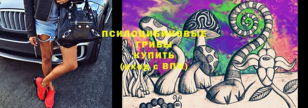 ешки Арсеньев
