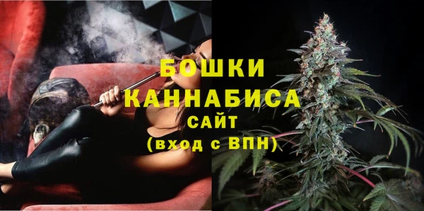 ешки Арсеньев
