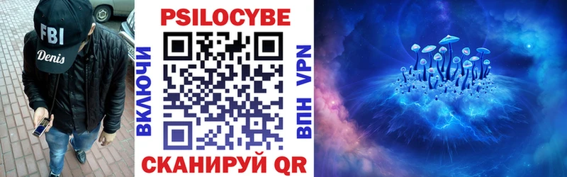 Псилоцибиновые грибы Psilocybe Купить Будённовск