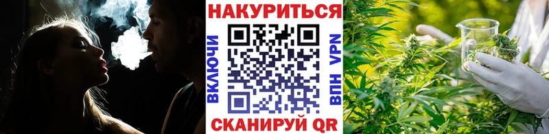 Шишки марихуана семена  Купить где  Будённовск 